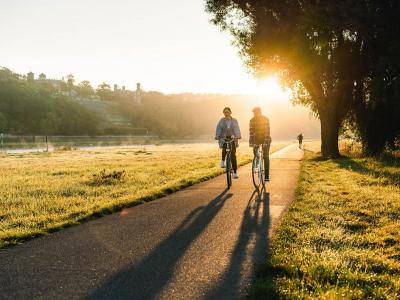 Elbe cycle path near Dresden