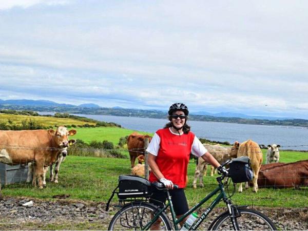 Cyclist with cows