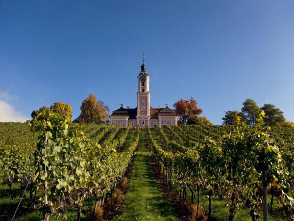 Weinberge beim Kloster Birnau