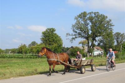 Lithuanian Countryside