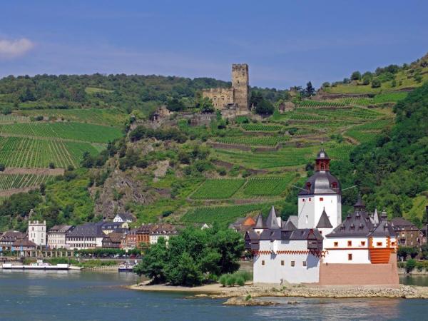 Pfalzgrafenstein Castle