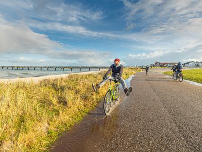 Cyclists on the baltic sea