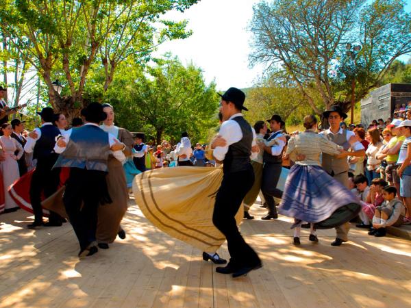 cultural dance on a market