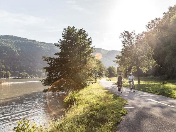 Donauradweg Schlgener Donauschlinge