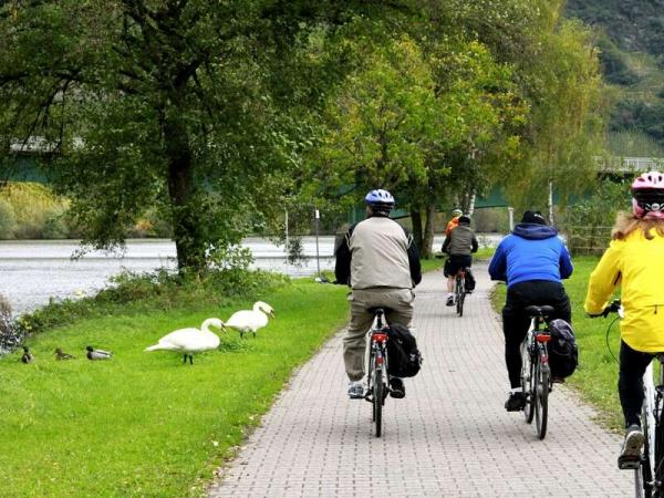 Cyclists along the moselle