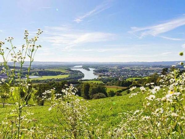 Danube view from the Mhlviertel