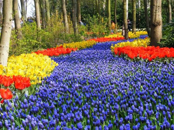 Keukenhof