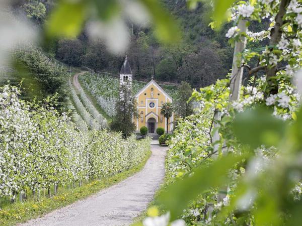 St. Valentin church in Meran