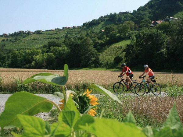 Cyclists