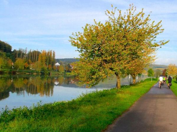 Radfahrer am Ufer der Mosel