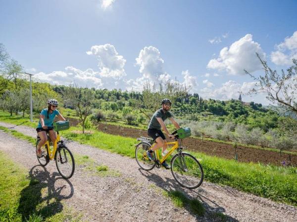 Cyclist in the outback of Istria 