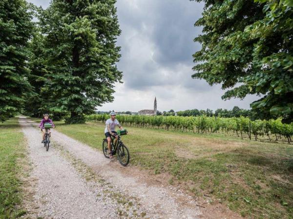 Cyclists 