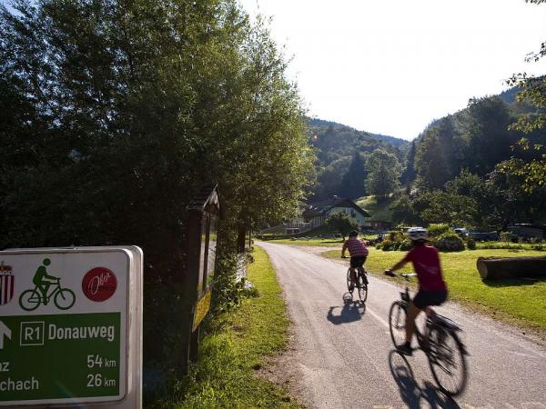 Cyclists on the Danube Cycle Path