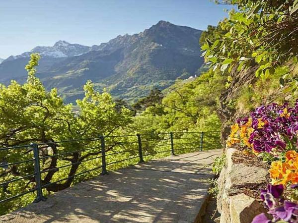 Tappeinweg in Meran