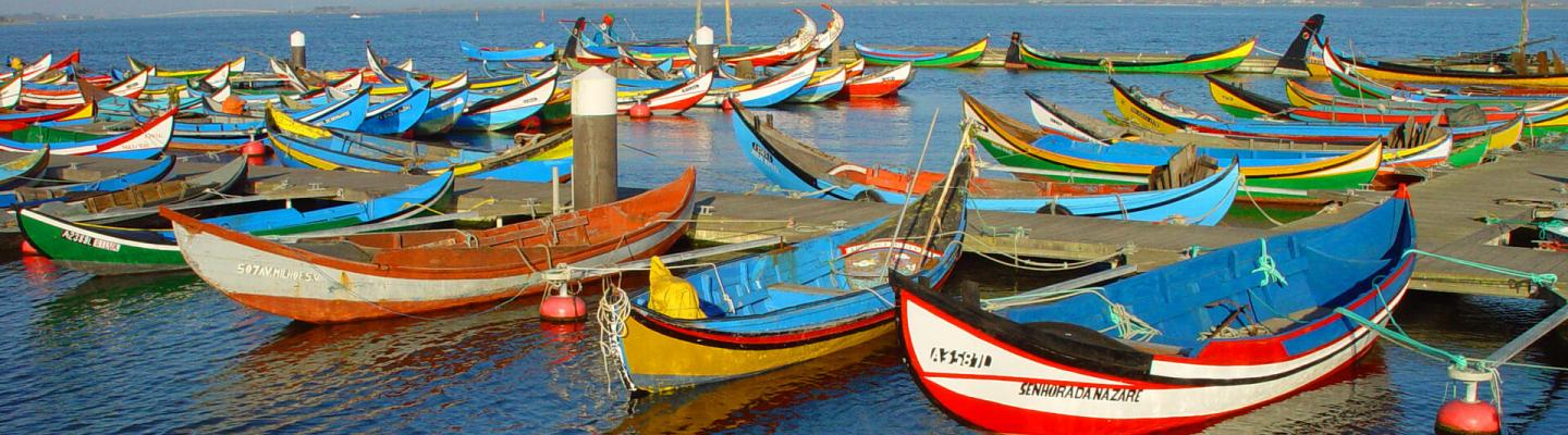 traditional boats in Portugal