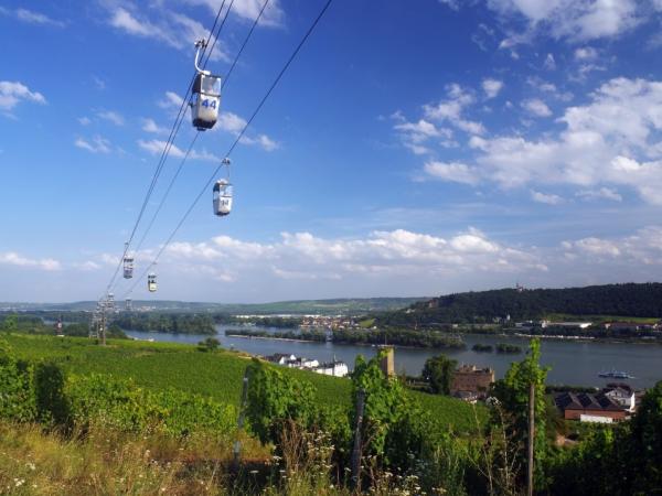 Vineyards near Ruedesheim