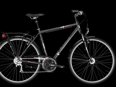 21-speed menbike