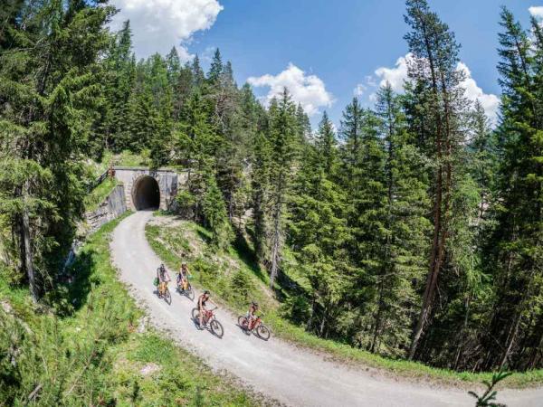 Cyclists on the Dolomites cyclepath