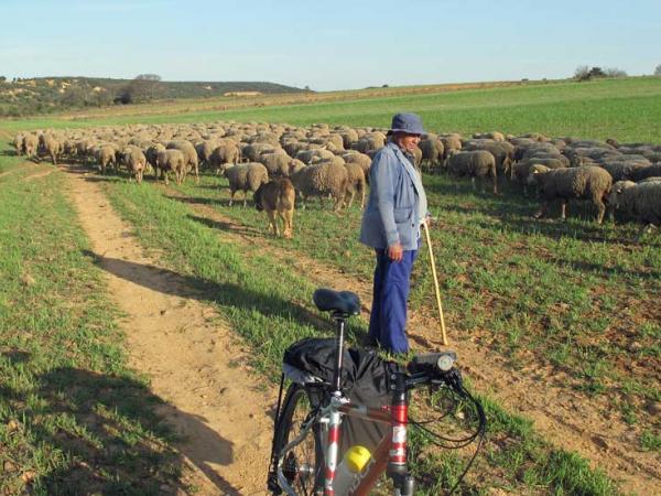 shepherd on the way of St. James