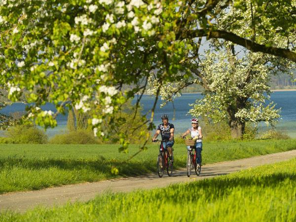 Cyclists on the lake cycle path