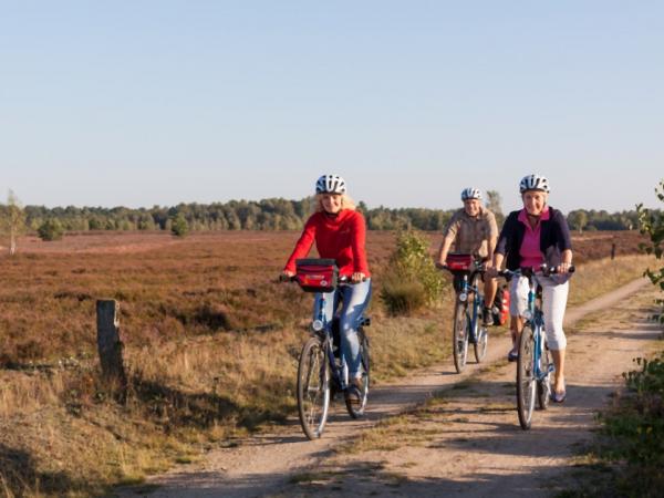 cyclists at the Lneburg Heath at a crossing