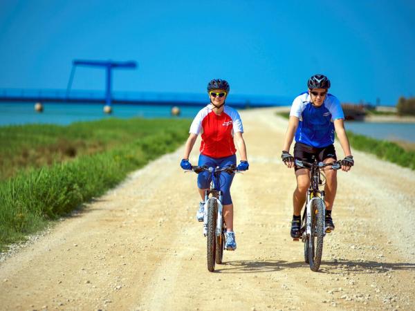 Cyclists near Novigrad