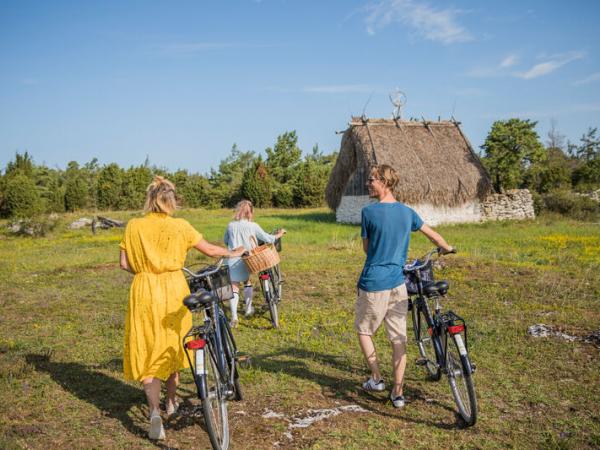 Cyclists in Far