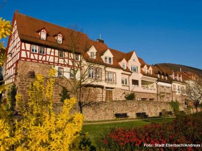 Altstadth�user auf Stadtmauer