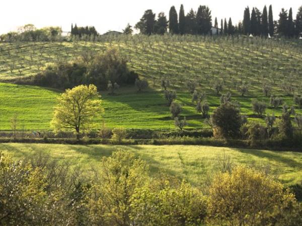 Tuscany landscape