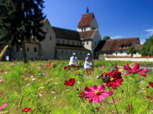 Reichenau