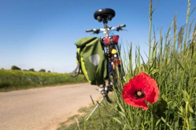 Spanien - Granada - Radrast - Mohnblume