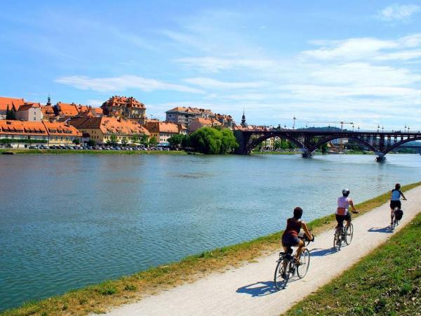 Cycling alon the Mur river