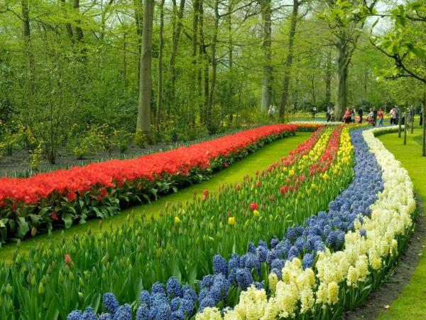 Keukenhof