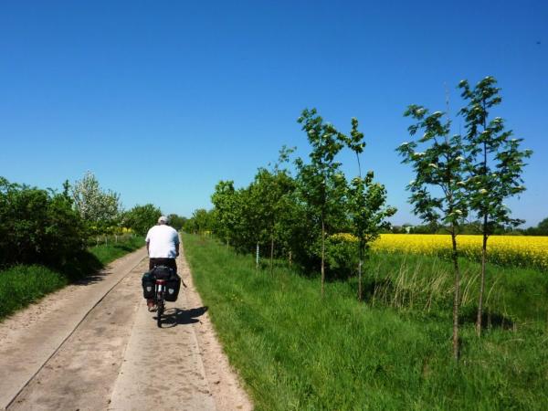 Radfahrer