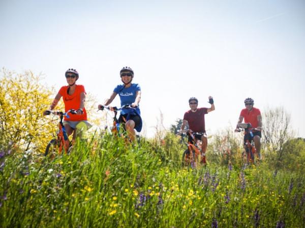 Cyclists in the countryside