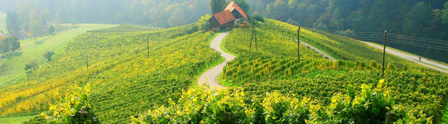 heart shaped street in wine region Bad Radkersburg Bad Radkersburg