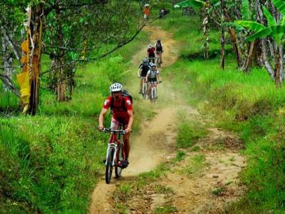 Gew�rznelken trail - clove trail