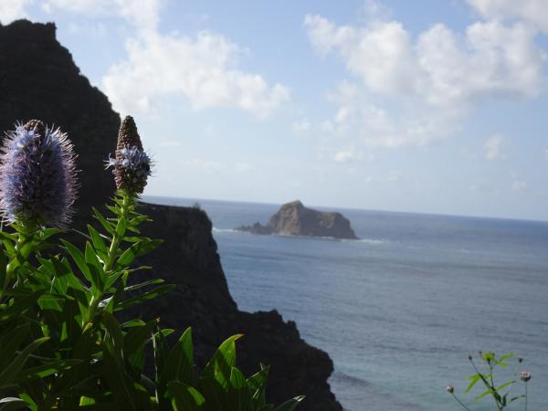 coastline of Madeira