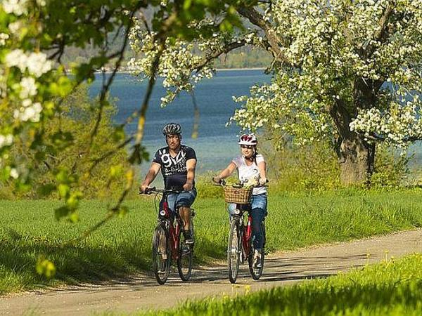 Cyclists near appletrees