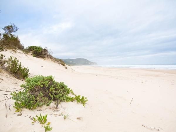 lonely beaches