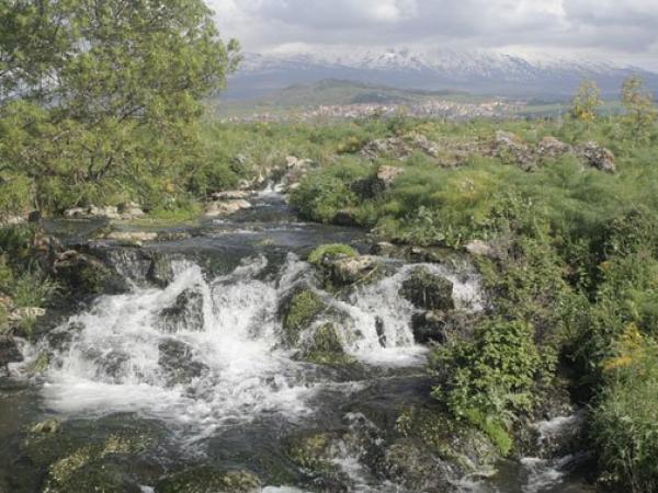 Typical Sicilian nature