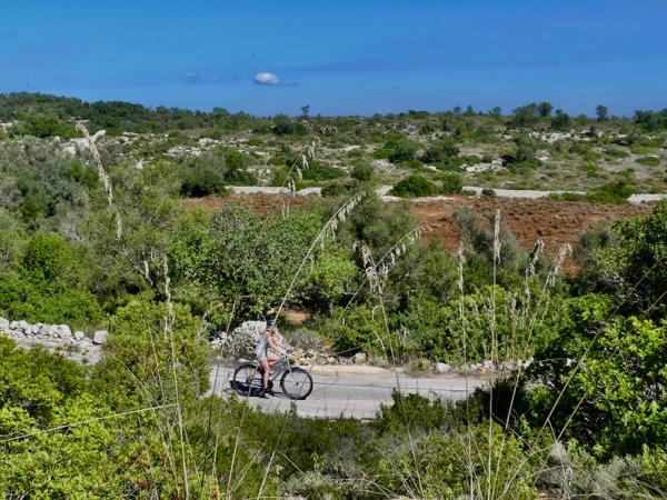 Cyclist near Noto