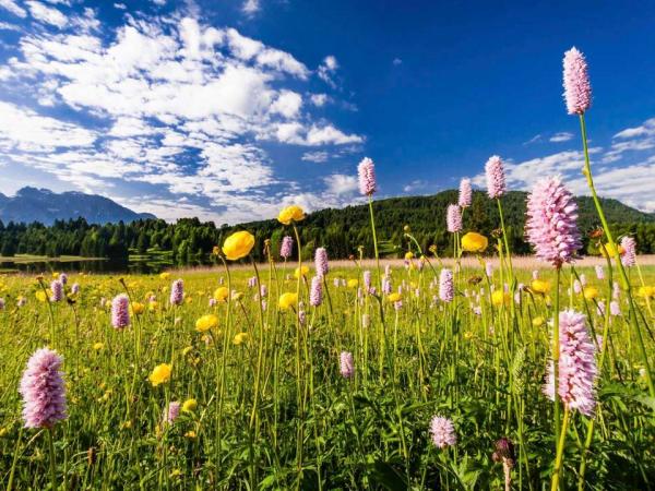 Zwischen Krn + Garmisch