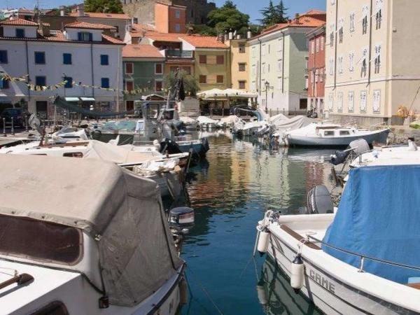 Muggia