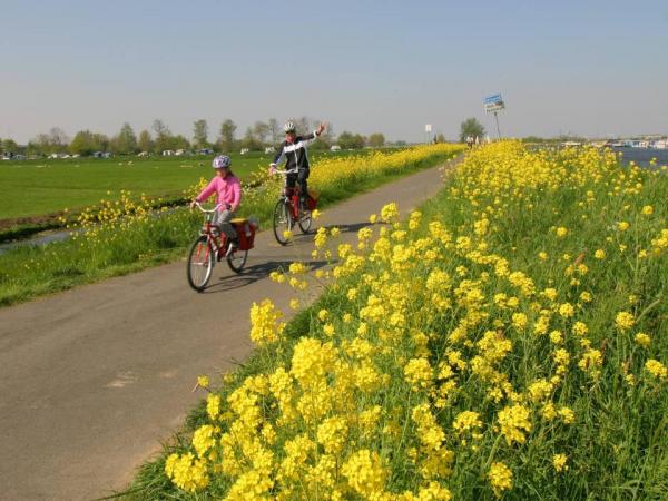 flowers along the way