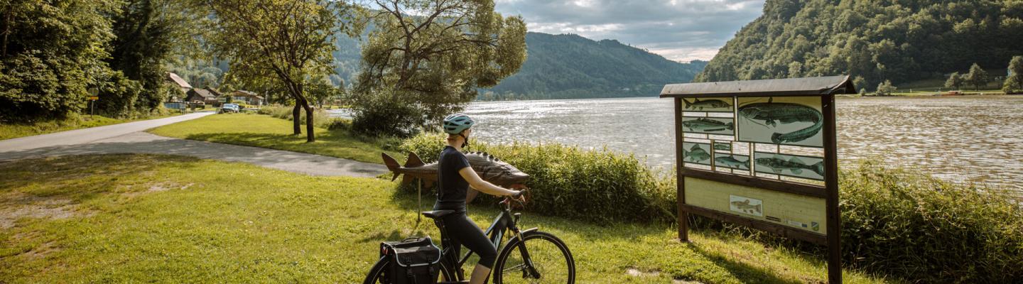 Cyclist looking at a sign in the danube bend