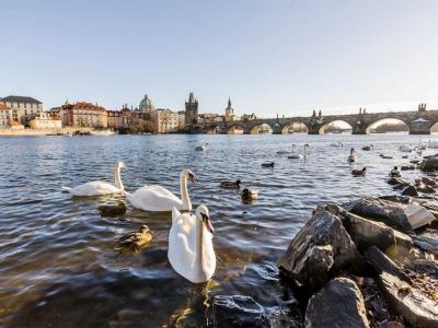 Prag - Karlsbrcke