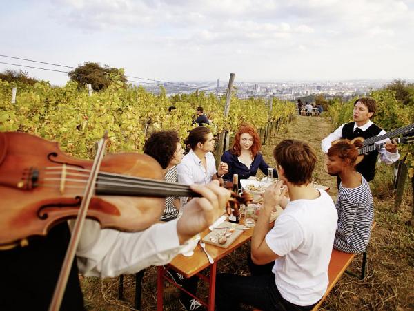 Vienna - vineyard on the Nussberg