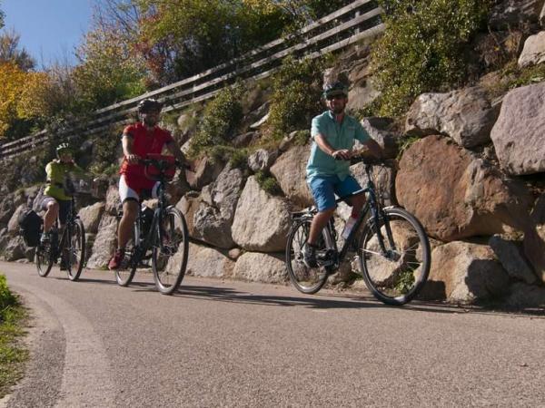 Cyclepath Vinschgau