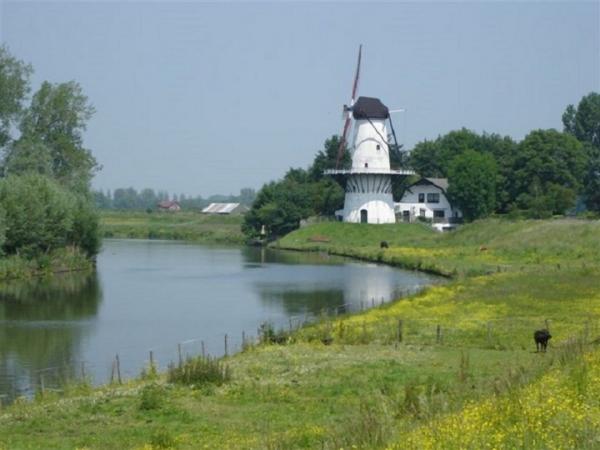 Betuwe mill